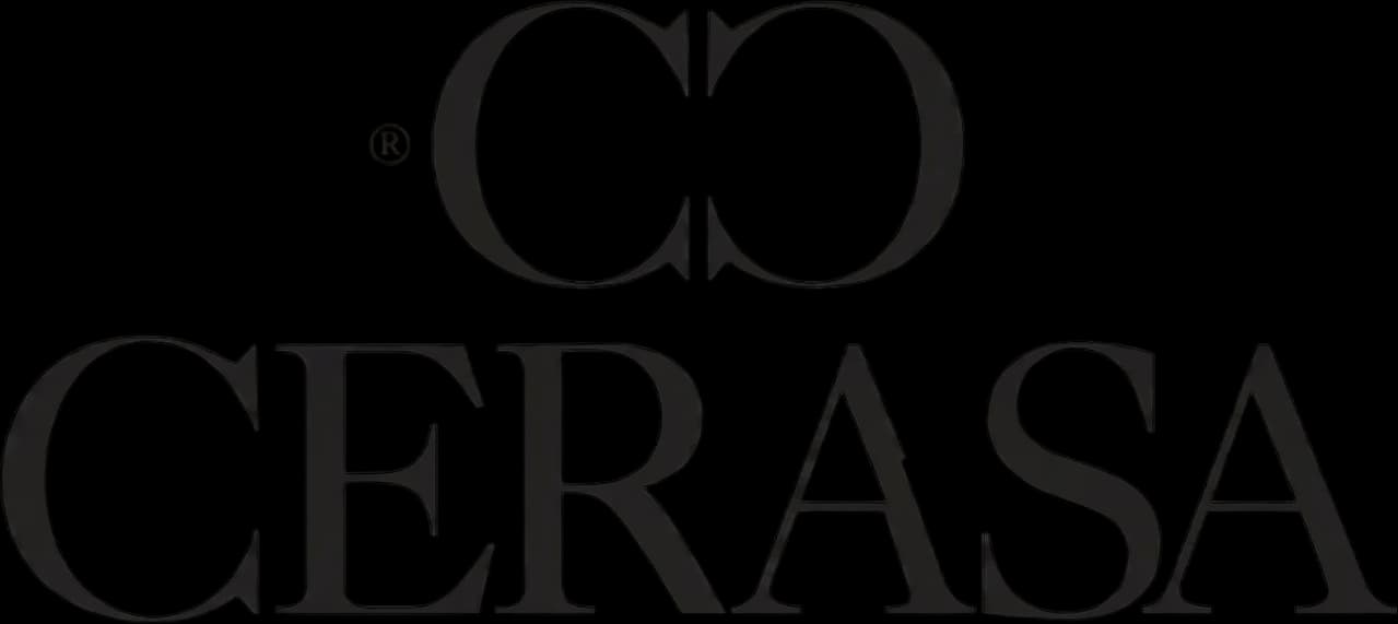 Partner Logo 11