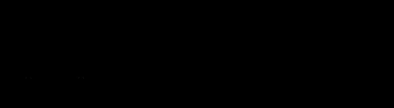 Partner Logo 17
